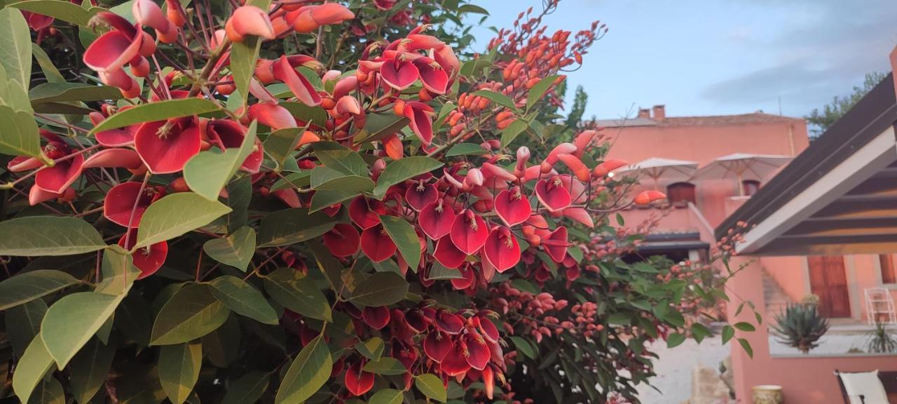 Bioagriturismo Antica Sena Milici Εξωτερικό φωτογραφία