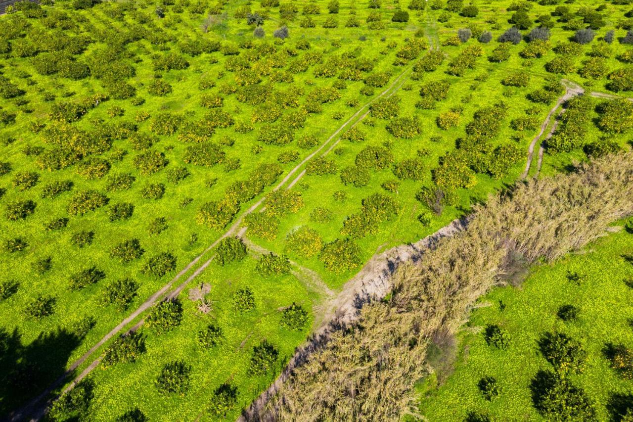 Bioagriturismo Antica Sena Milici Εξωτερικό φωτογραφία