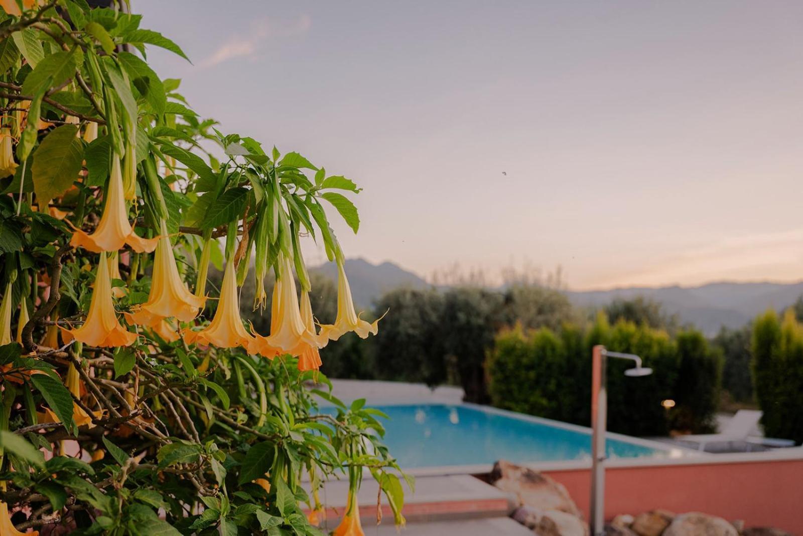 Bioagriturismo Antica Sena Milici Εξωτερικό φωτογραφία